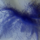 False-color image of dust devil trails give the distinct appearance of a tarantula on the Martian surface.